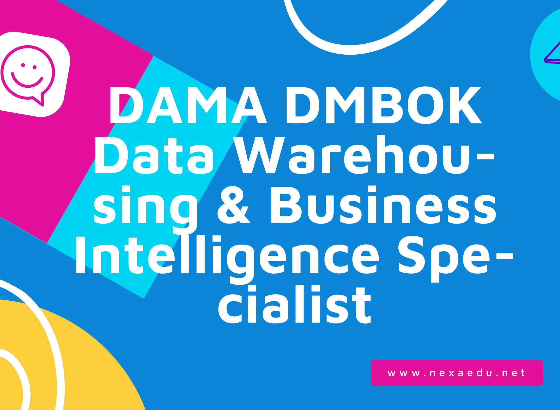 DAMA DMBOK Data Warehousing &amp; Business Intelligence Specialist